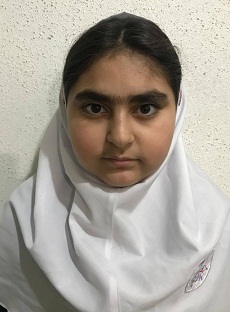 نیکو ربیع ورزلی